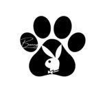 Онлифанс Работа